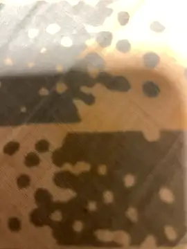 fep84 online show from 03/22/26, 04:49