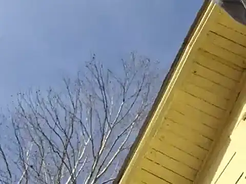 Snapshot of highstepper500 chatting on 12/25/24, 08:07 highstepper500 online show from 12/25/24, 08:07