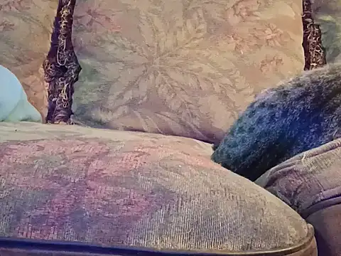 Snapshot of highstepper500 chatting on 12/02/25, 07:47 highstepper500 online show from 12/02/25, 07:47