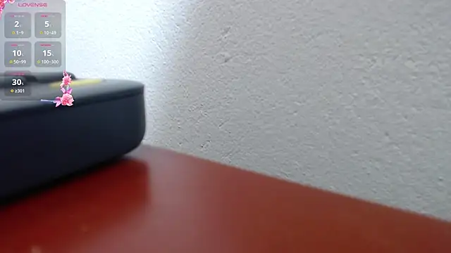 Snapshot of scaelettdubois chatting on 12/14/25, 03:45 scaelettdubois online show from 12/14/25, 03:45