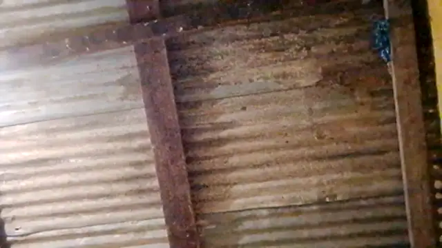 Snapshot of LULE37587001 chatting on 02/20/26, 11:05 LULE37587001 online show from 02/20/26, 11:05