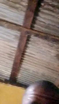 LULE37587001 online show from 03/18/26, 10:35