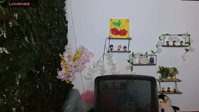 vaness weet online show from 04/14/26, 07:53