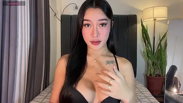 wiggle nibble online show from 11/23/25, 05:57