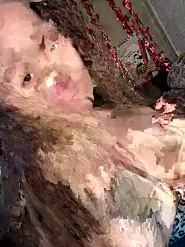 Var Kiss online show from 04/21/26, 05:14