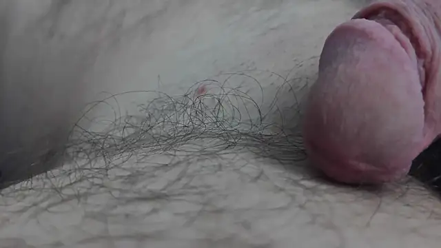 Snapshot of Fist-my-ass chatting on 11/24/25, 08:03 Fist-my-ass online show from 11/24/25, 08:03