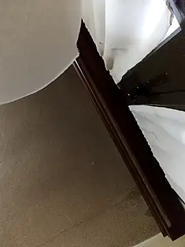 Snapshot of White_rabbit_ chatting on 12/11/24, 04:53 White rabbit  online show from 12/11/24, 04:53