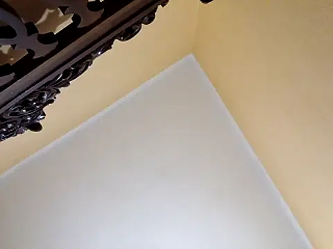 Snapshot of White_rabbit_ chatting on 10/29/25, 10:00 White rabbit  online show from 10/29/25, 10:00