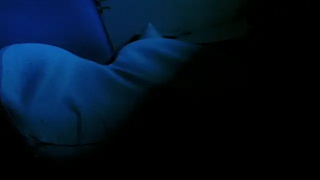 Snapshot of blow2gold chatting on 11/12/25, 12:33 blow2gold online show from 11/12/25, 12:33