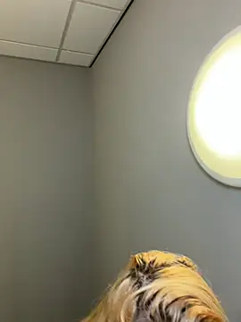 Strongqueen online show from 02/13/26, 06:15