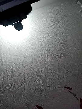 Snapshot of Deina_bunny chatting on 02/20/25, 06:57 Deina bunny online show from 02/20/25, 06:57