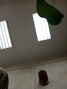 Office Albertina online show from 01/18/26, 10:13