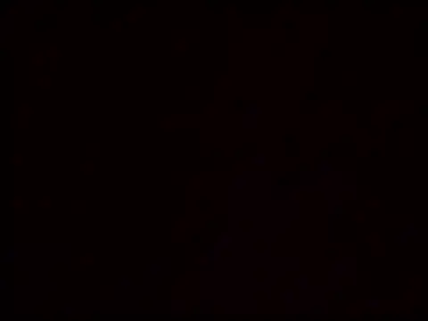 Vicusgdl online show from 03/29/26, 09:42