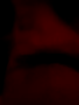 roccosif696 online show from 01/25/25, 06:46