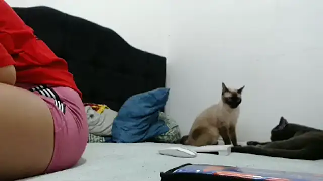 Snapshot of Emmily_Fox chatting on 12/02/24, 10:23 Emmily Fox online show from 12/02/24, 10:23