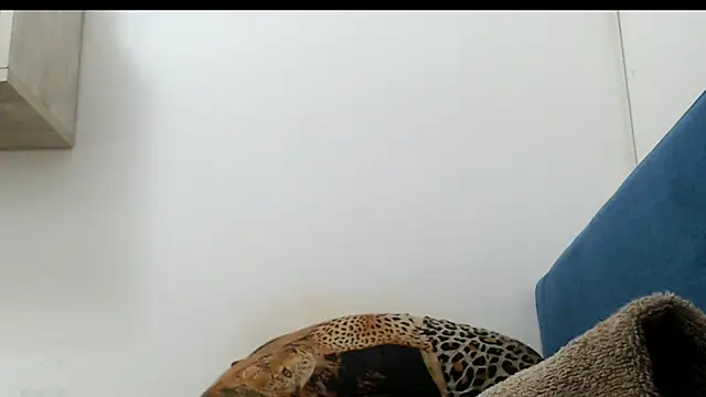 Snapshot of 0anal21 chatting on 06/25/26, 06:34 0anal21 online show from 06/25/26, 06:34
