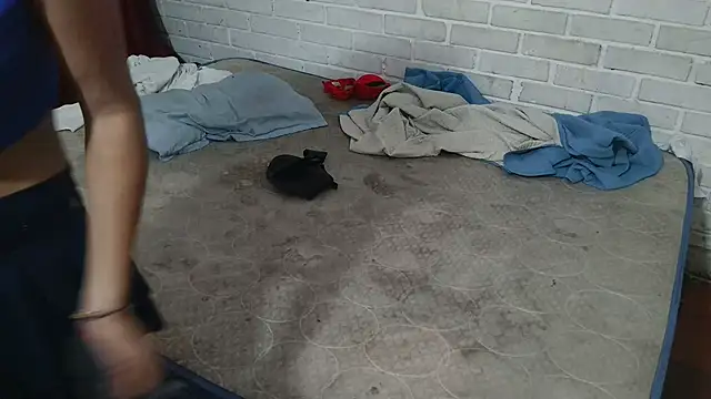 valeriaswang Lucas online show from 11/25/25, 04:18