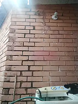 valeriaswang Lucas online show from 12/04/25, 03:43