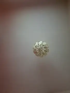 cuci45 online show from 03/21/26, 02:16