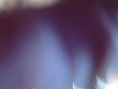 OSIRlS online show from 12/12/24, 09:37