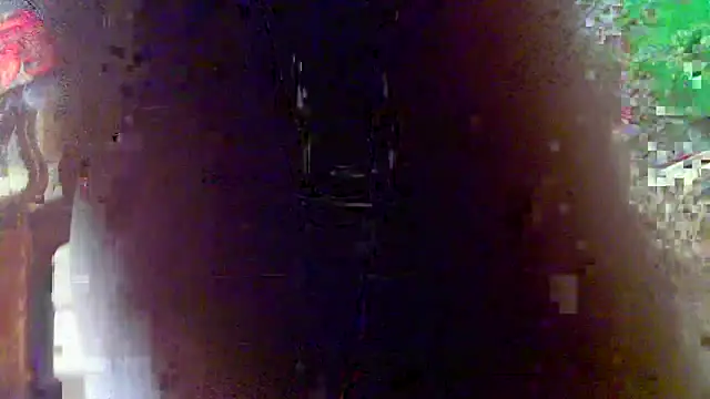 OSIRlS online show from 03/23/26, 11:03