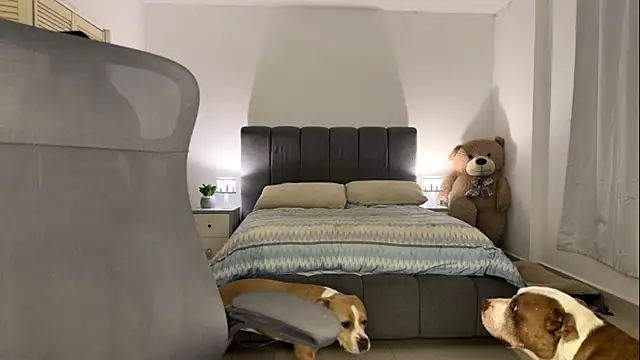 nurbanu hatem online show from 02/13/26, 08:43