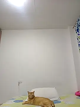 leah passion online show from 01/31/26, 11:14