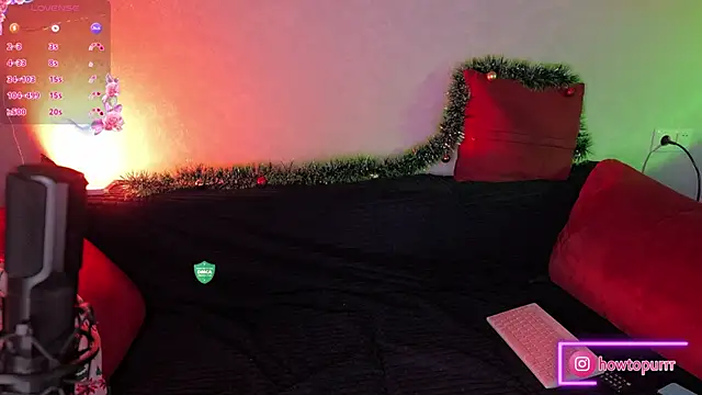 How2Meow online show from 12/24/24, 05:23