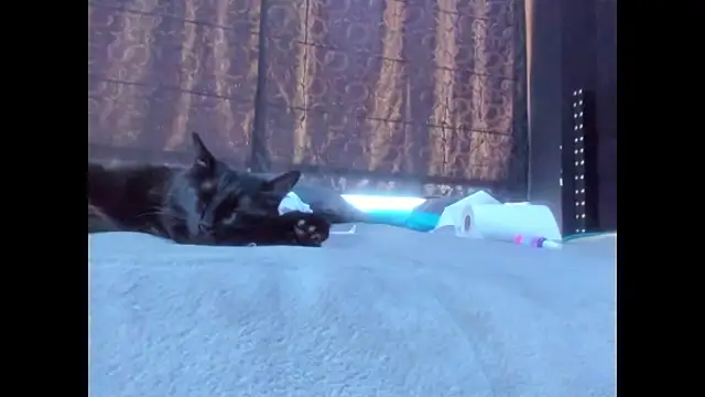 amareto queen online show from 03/25/26, 07:53