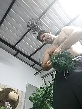 Maxi TheBigDaddy online show from 01/11/26, 11:43