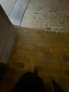 Snapshot of Thepanthera chatting on 09/22/25, 04:47 Thepanthera online show from 09/22/25, 04:47