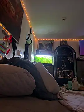 Toyjungee online show from 02/03/26, 08:08