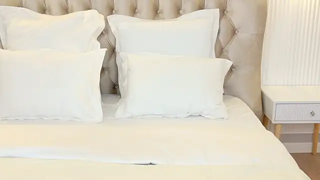 Snapshot of LilyRaisa chatting on 03/15/25, 04:57 LilyRaisa online show from 03/15/25, 04:57