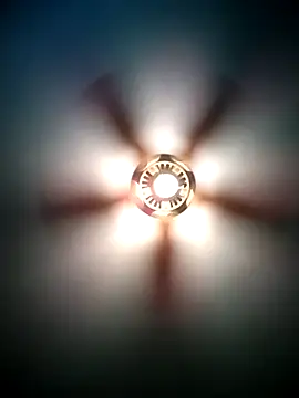 Snapshot of GeneWade45 chatting on 04/05/26, 03:09 GeneWade45 online show from 04/05/26, 03:09