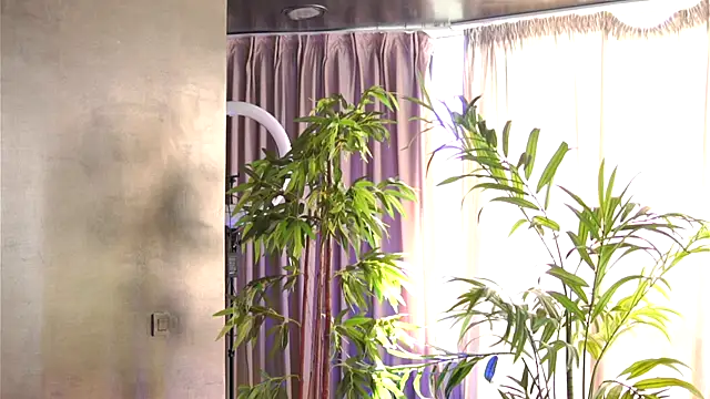 HotSkinnyX online show from 10/11/25, 09:41