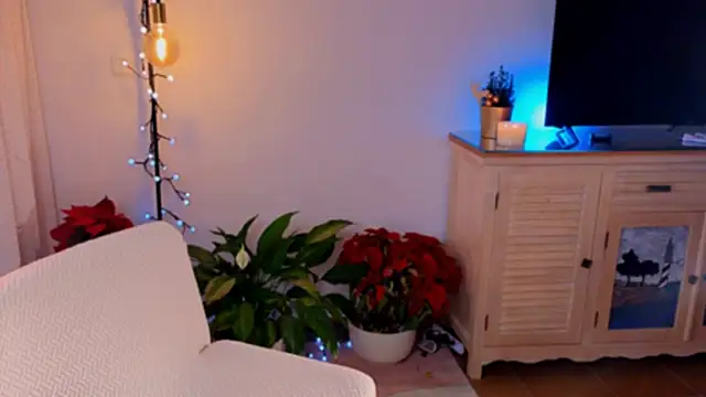 anabelcurvy online show from 12/08/24, 04:07