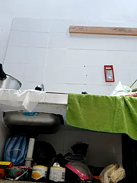 Snapshot of Dannacamila chatting on 11/17/25, 04:13 Dannacamila online show from 11/17/25, 04:13