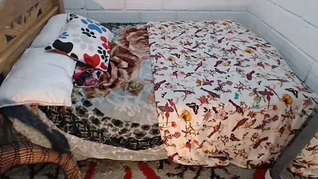 Snapshot of sexyjustin202 chatting on 12/15/25, 10:58 sexyjustin202 online show from 12/15/25, 10:58