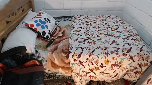 sexyjustin202 online show from 12/19/25, 09:55