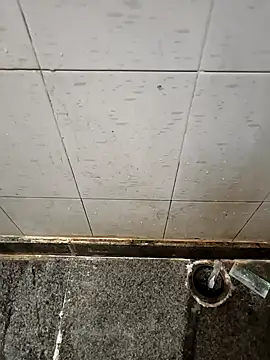 Mallupaiyanaachu online show from 01/21/25, 01:54