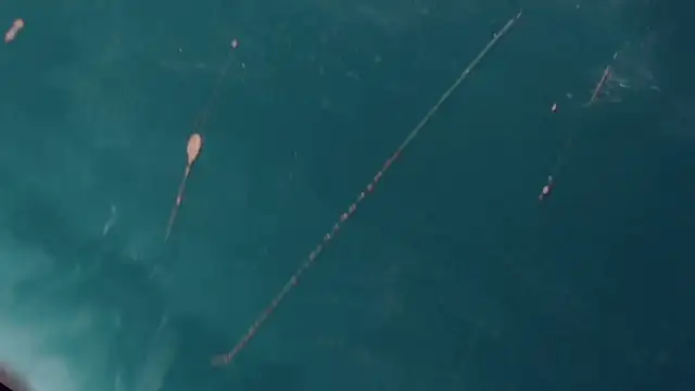 Snapshot of CharlotteBigCock chatting on 01/12/25, 03:25 CharlotteBigCock online show from 01/12/25, 03:25