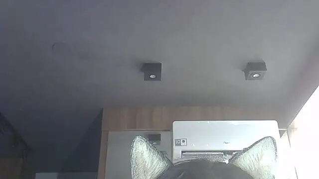 Skinny-Kitten online show from 12/03/25, 11:14