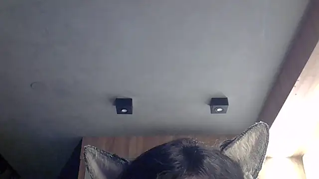 Skinny-Kitten online show from 02/04/26, 11:53