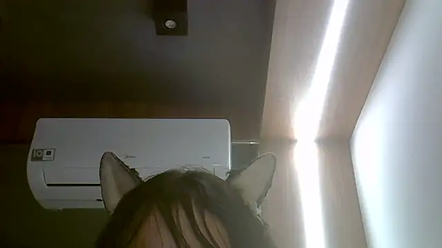 Skinny-Kitten online show from 02/13/26, 01:34