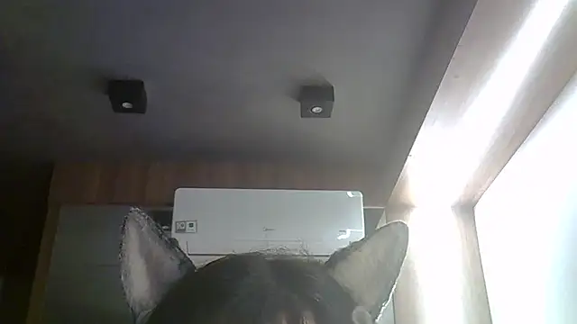 Skinny-Kitten online show from 03/27/26, 08:37