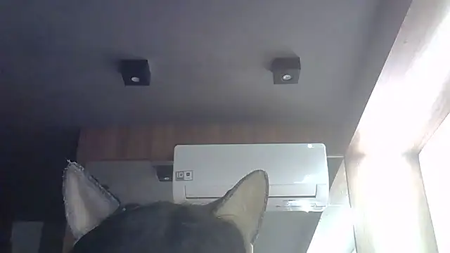 Snapshot of Skinny-Kitten chatting on 05/28/26, 04:59 Skinny-Kitten online show from 05/28/26, 04:59