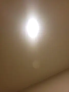 Snapshot of lofibunni chatting on 02/14/26, 12:46 lofibunni online show from 02/14/26, 12:46