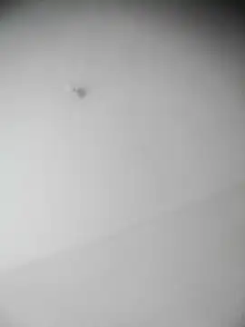 Snapshot of bestofyalcinturkey chatting on 12/03/24, 12:49 bestofyalcinturkey online show from 12/03/24, 12:49