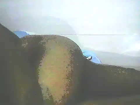 Snapshot of Stormward chatting on 01/12/25, 12:28 Stormward online show from 01/12/25, 12:28