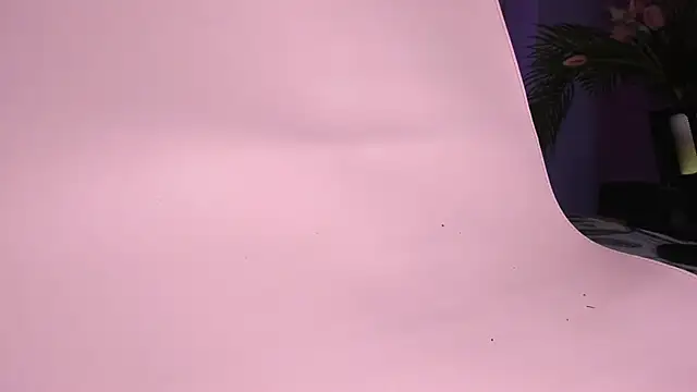 DorothyGilbert1 online show from 11/14/25, 11:20